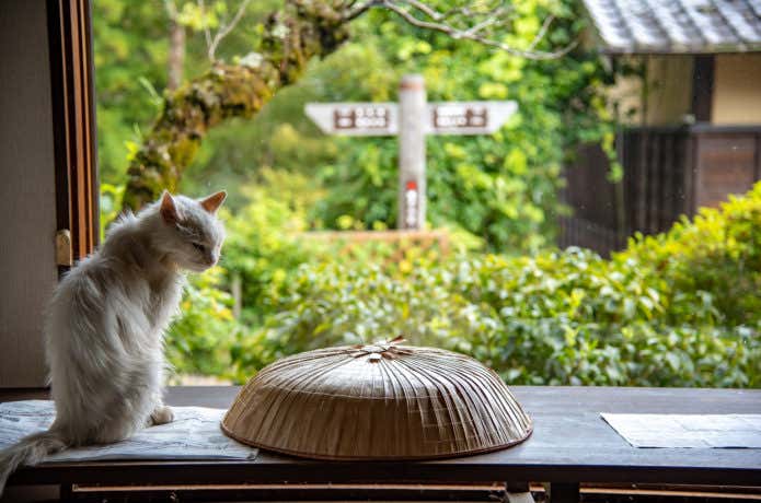 山麓の町