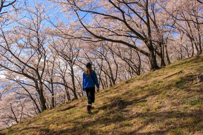 アンバサダー　moominさん