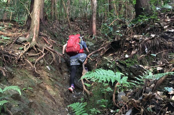 キトラパックを背負って登山
