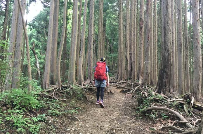 キトラパック　登山道