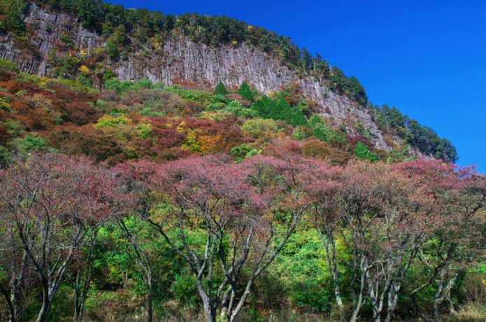 屏風岩公苑