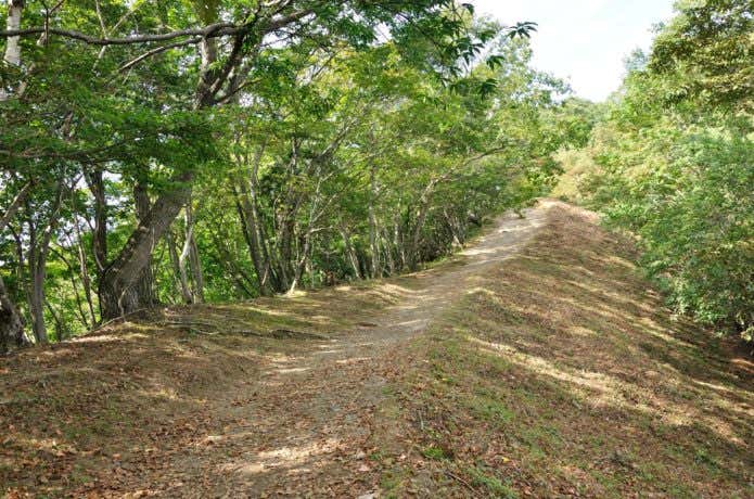 奥多摩の縦走路