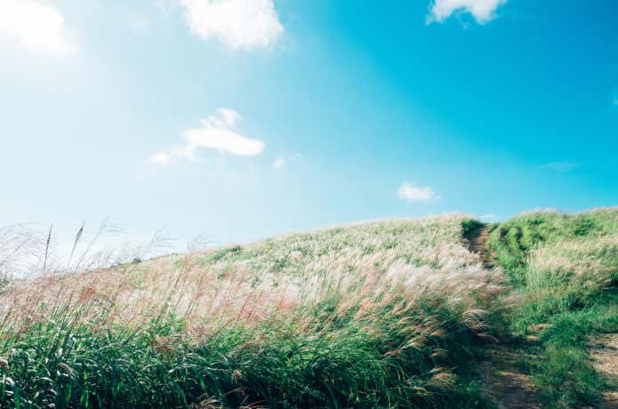 気持ちの良い草原が広がる大和葛城山の山頂