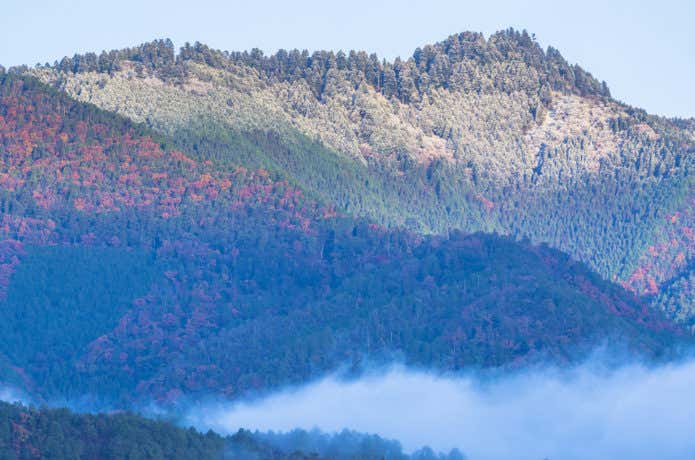 愛宕山