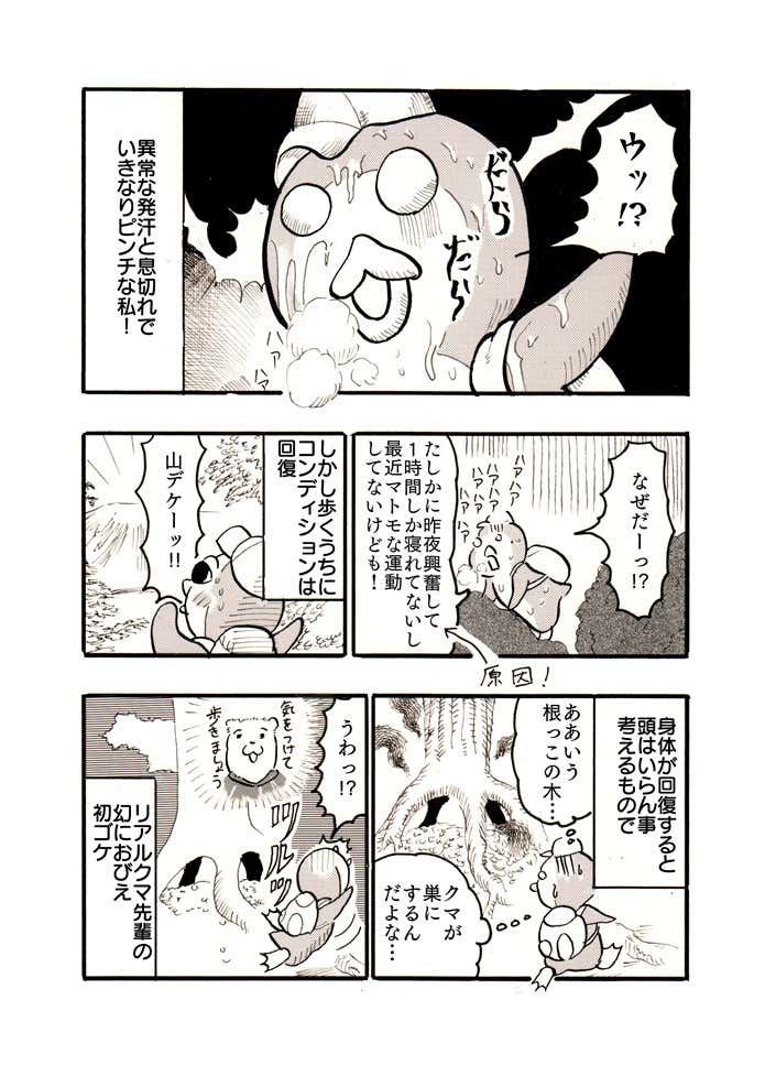 クマ先輩と俺　雲ノ平