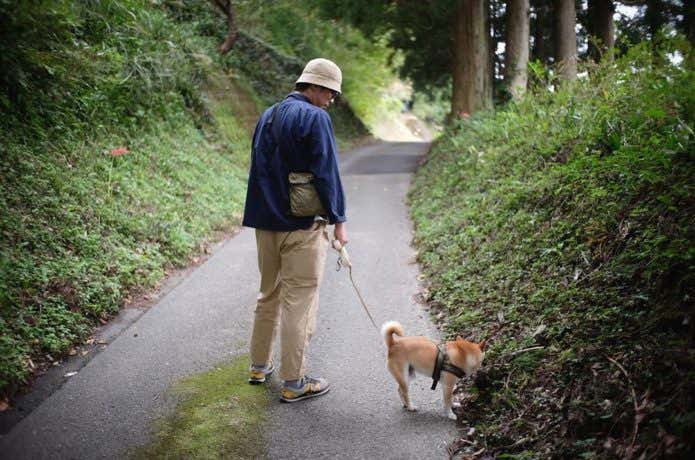 お散歩の延長で山へ