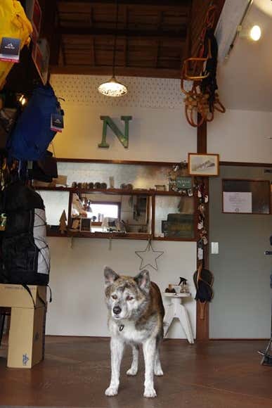 nero店内１