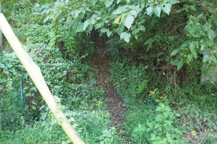 低山　踏み跡