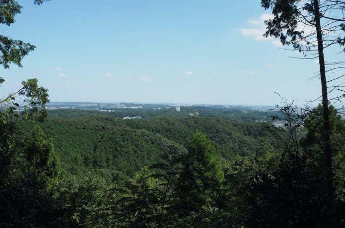 低山　展望