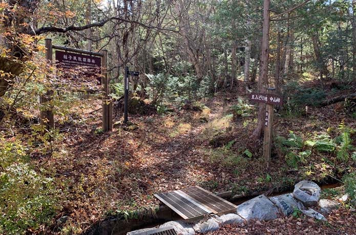 しらびそ小屋まで