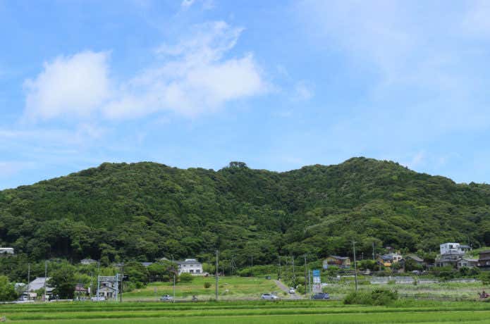 低山