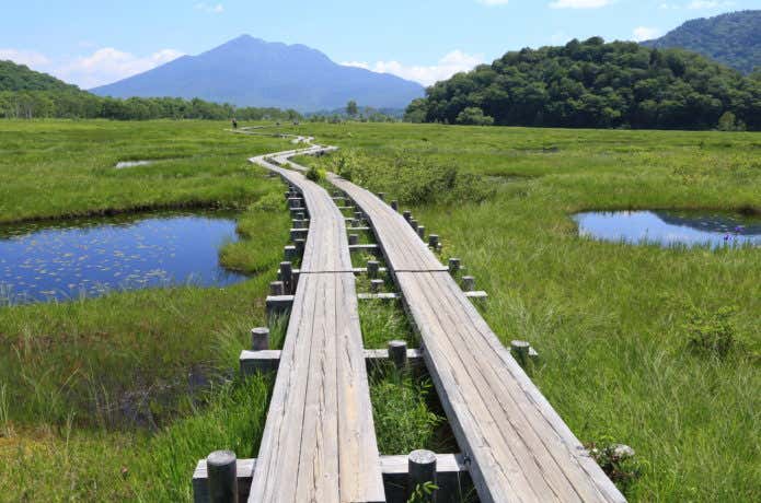 尾瀬ヶ原