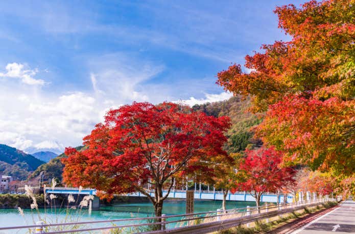 秋の丹沢湖