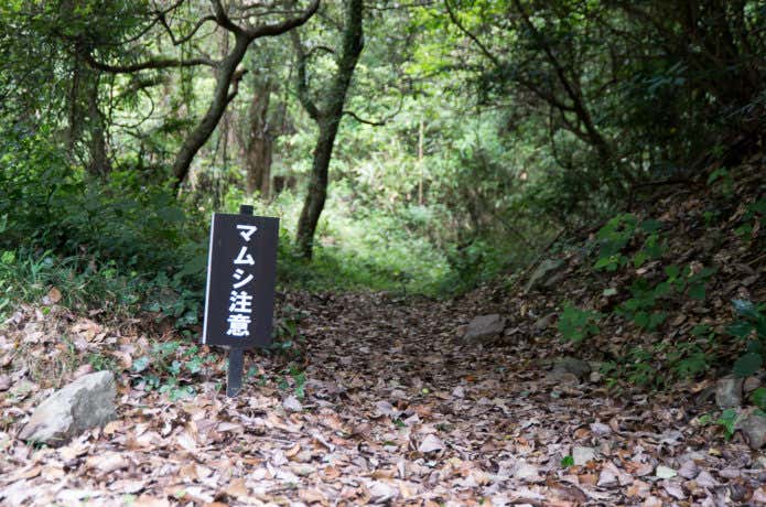 マムシに注意