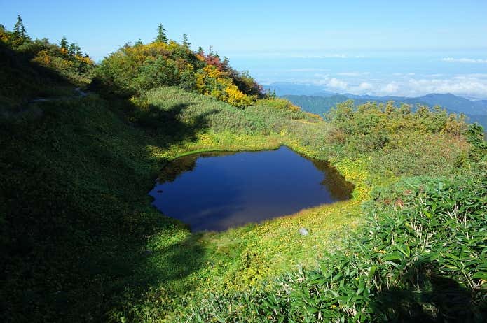 池塘や湿原