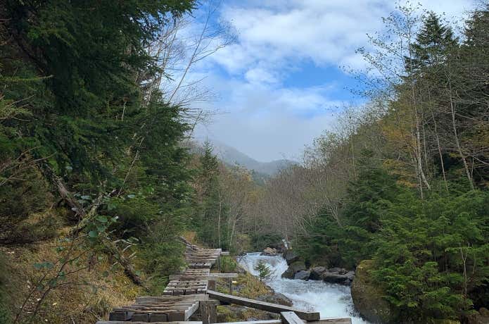 八ヶ岳・北沢の登山道