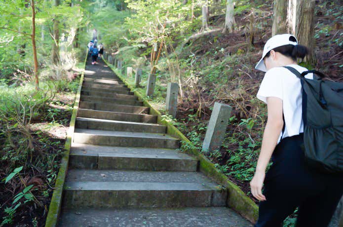じりじり暑い登山道
