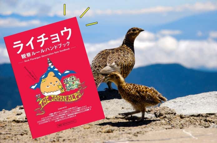 ライチョウ保全ガイドライン　観察ルールハンドブック