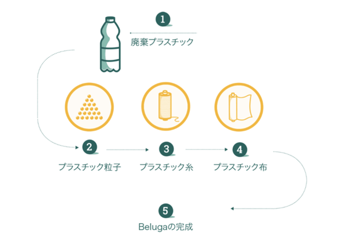 ベルーガ