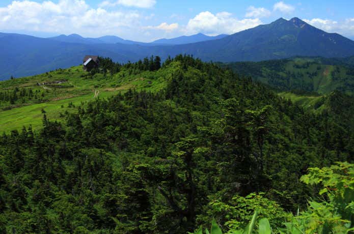 盛夏の会津駒ヶ岳山頂から燧ケ岳と駒の小屋