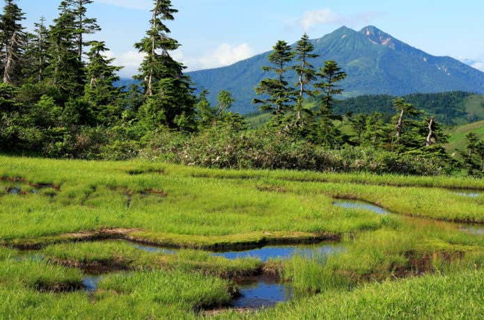 会津駒ヶ岳の池塘と燧ヶ岳遠望
