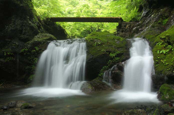 川乗谷の清流沿いを歩くルート