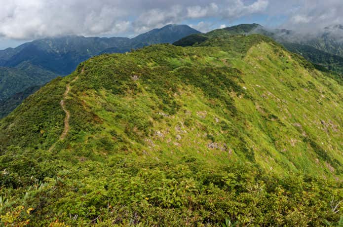 黒岩山からのサワガニ山・犬ヶ岳