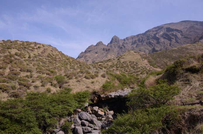 新緑の仙酔峡