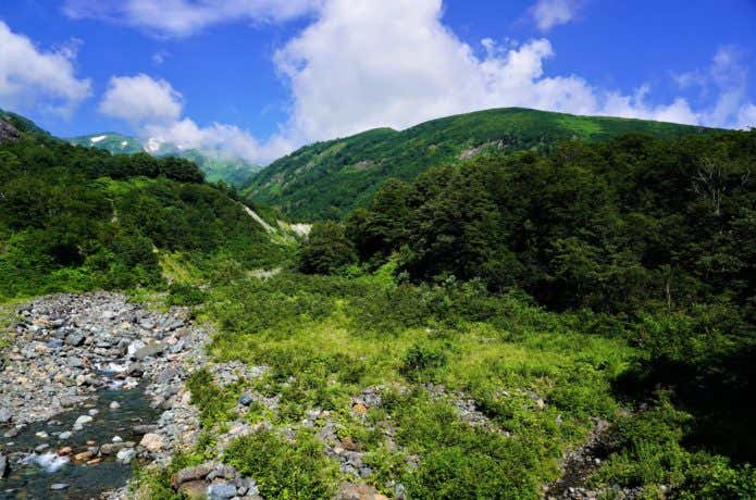 白高地沢と朝日岳