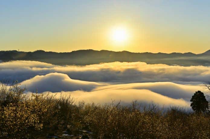 宝登山 雲海