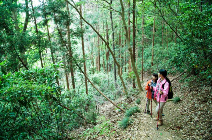 気軽な登山