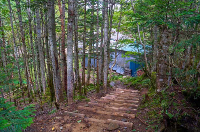 登山道