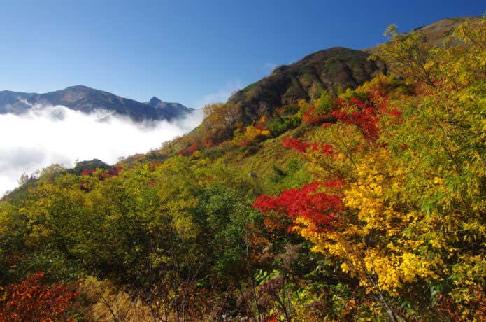 豊かな植生から紅葉も美しい朝日岳