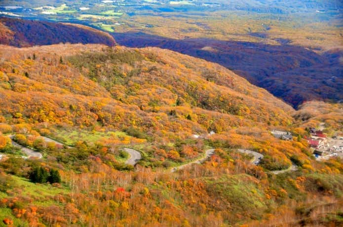 山頂からの景色