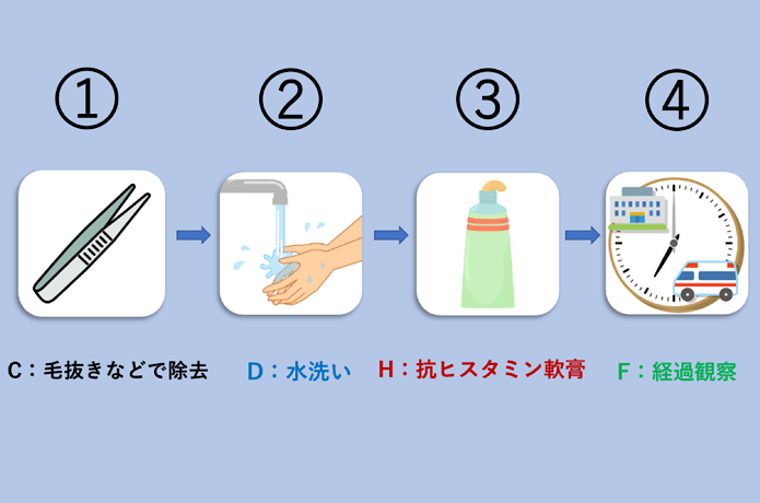 応急処置手順