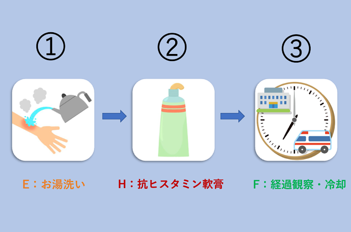 応急処置手順