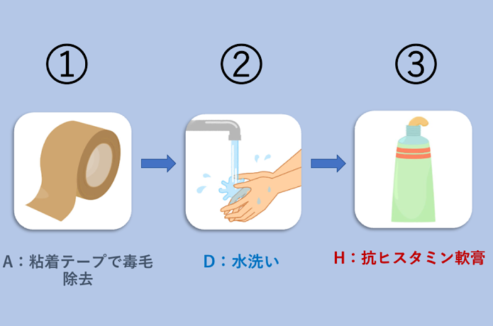 応急処置
