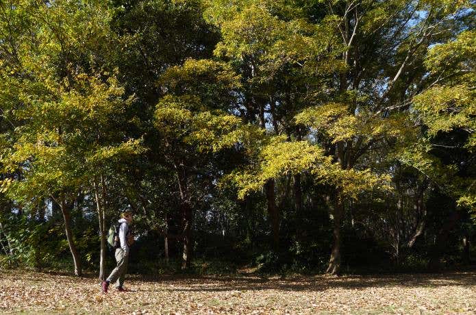 登山道を歩く人
