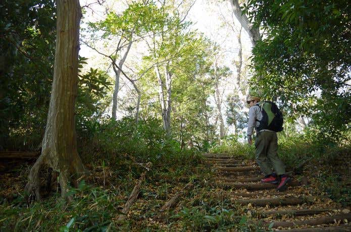 登山靴を履いて歩く人