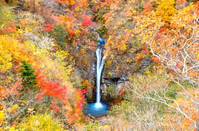 紅葉