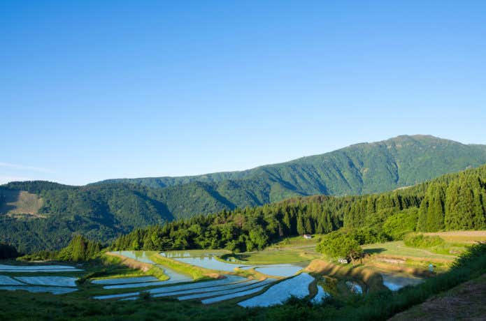 氷ノ山（須賀ノ山）