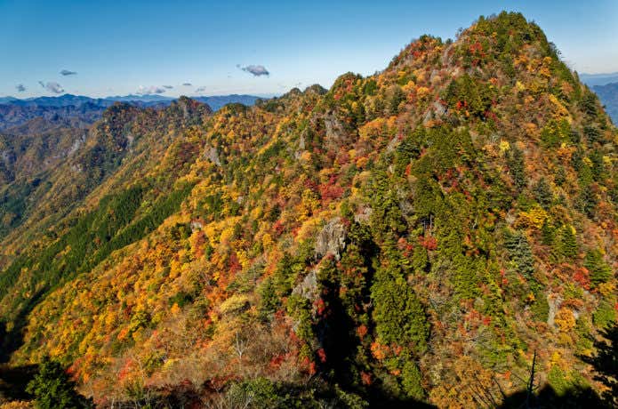 両神山稜線からの紅葉
