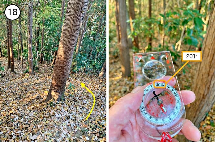 登山道の木とコンパス