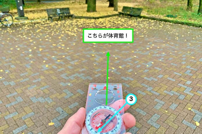 公園でコンパスを使用