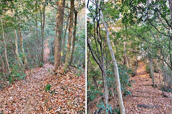 高尾山の登山道