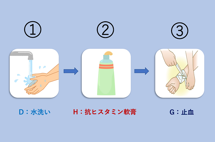 ヤマビル応急処置