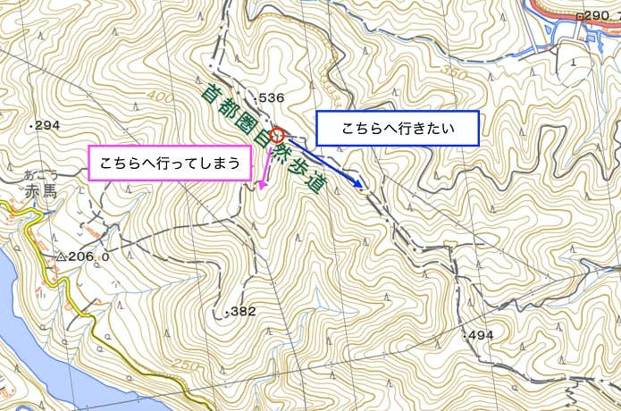 尾根の分岐