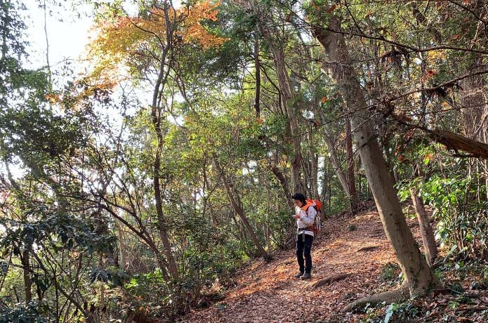 ナビゲーションしながらの登山の様子