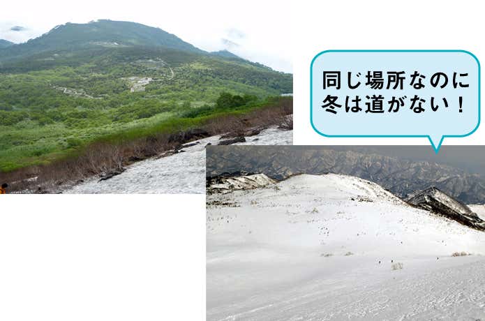 冬の樹林帯