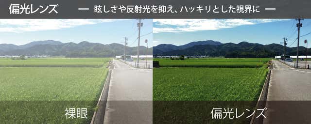 偏光レンズ